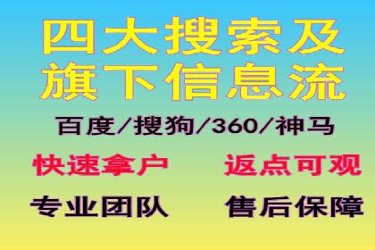 SEM运营公司案例解析：精准广告投放技巧